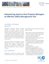 Whitepaper: June 2021 - Submetering Systems give Property Managers a Effective Utility Management Tool